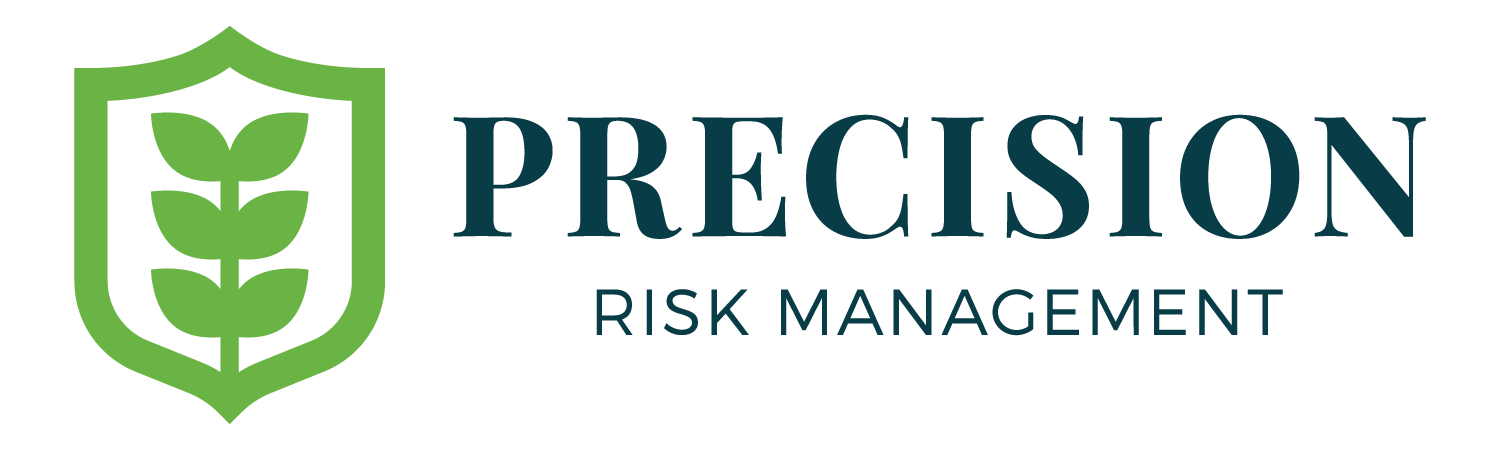 Precision Risk Management Logo