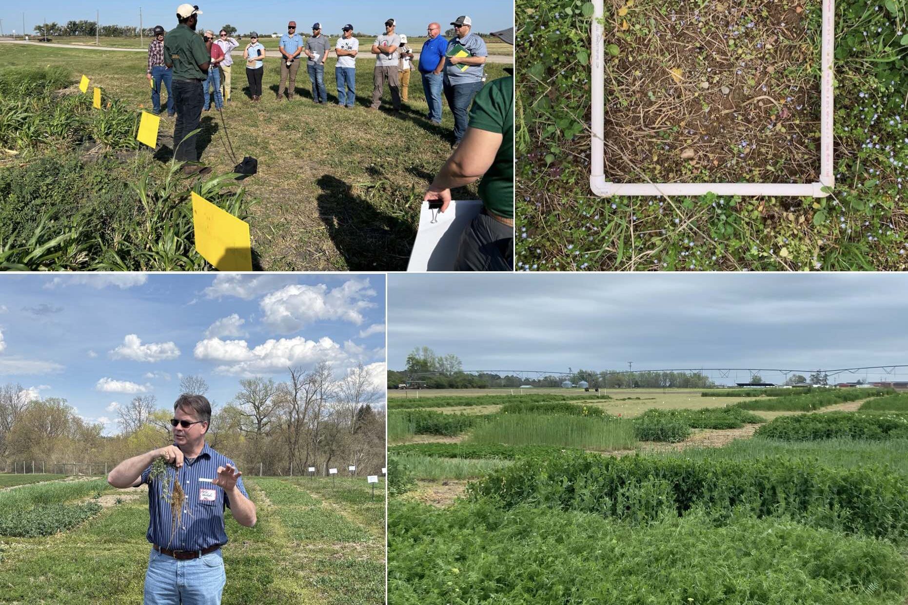 The National Cover Crop Variety Testing Program is working to identify how new and existing cover crop varieties perform in a wide variety of locations across the country.