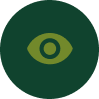 icon-eye